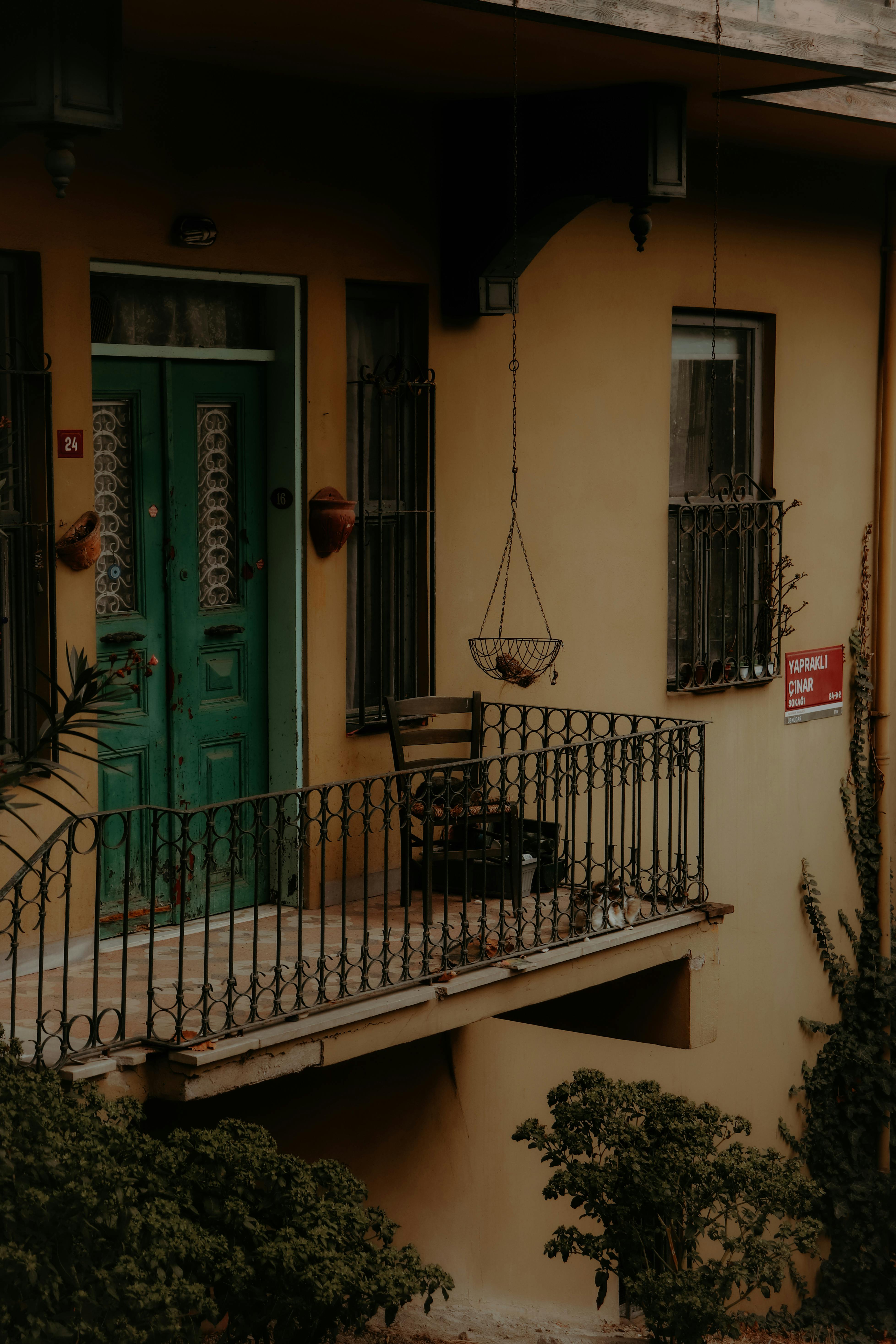 Gratuit Imagine de stoc gratuită din agățat plante, apartament, arhitectură Fotografie de stoc