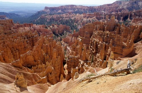 Free Breathtaking view of hoodoos in Bryce Canyon National Park, showcasing stunning eroded rock formations. Stock Photo