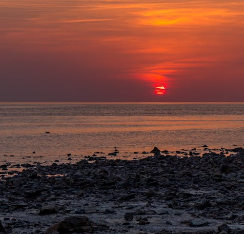 Kostnadsfri bild av dramatisk himmel, gyllene timmen, hav