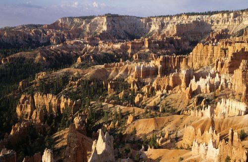 Free Stunning aerial shot of Bryce Canyon's hoodoos in warm sunlight, showcasing eroded rock formations. Stock Photo