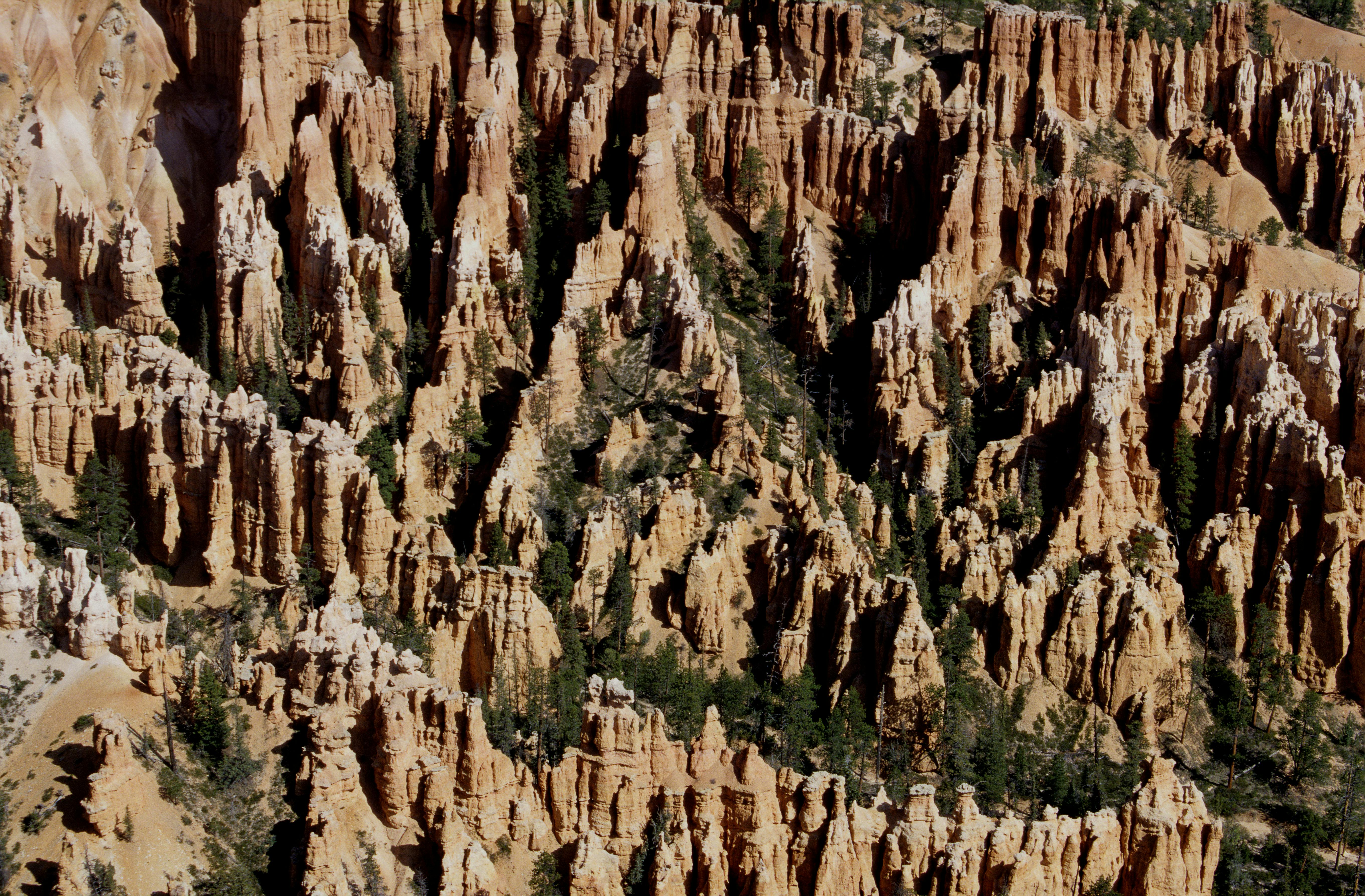 view of the bryce canyon national park in utah usa