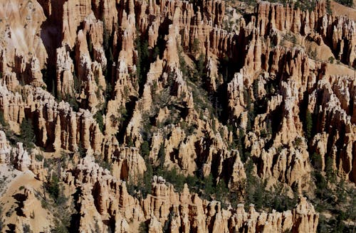 View of the Bryce Canyon National Park in Utah, USA