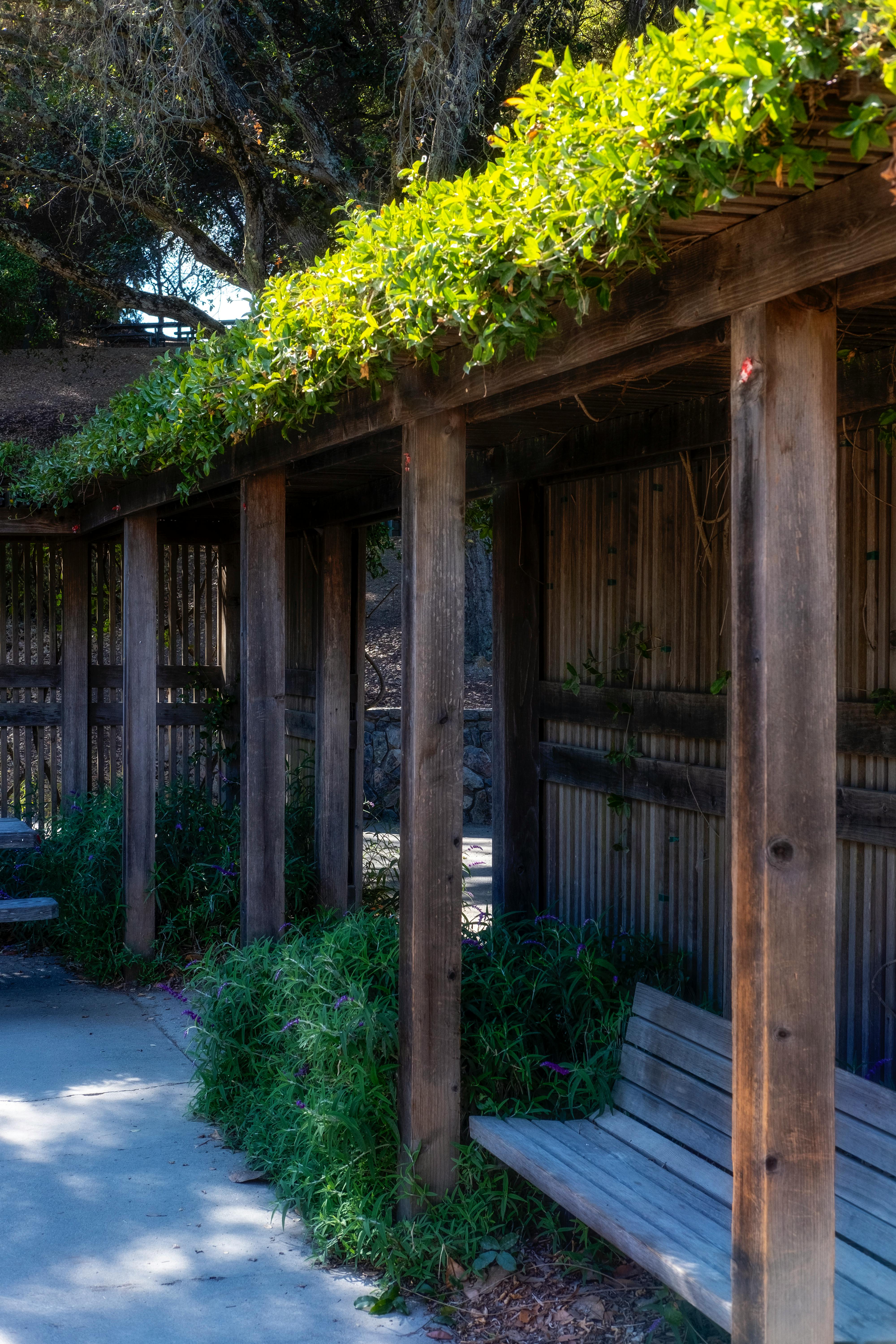 Pergola de jardin contemporaine