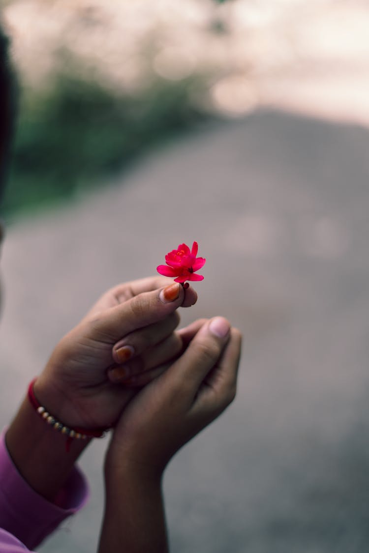 Hands Holding Flower