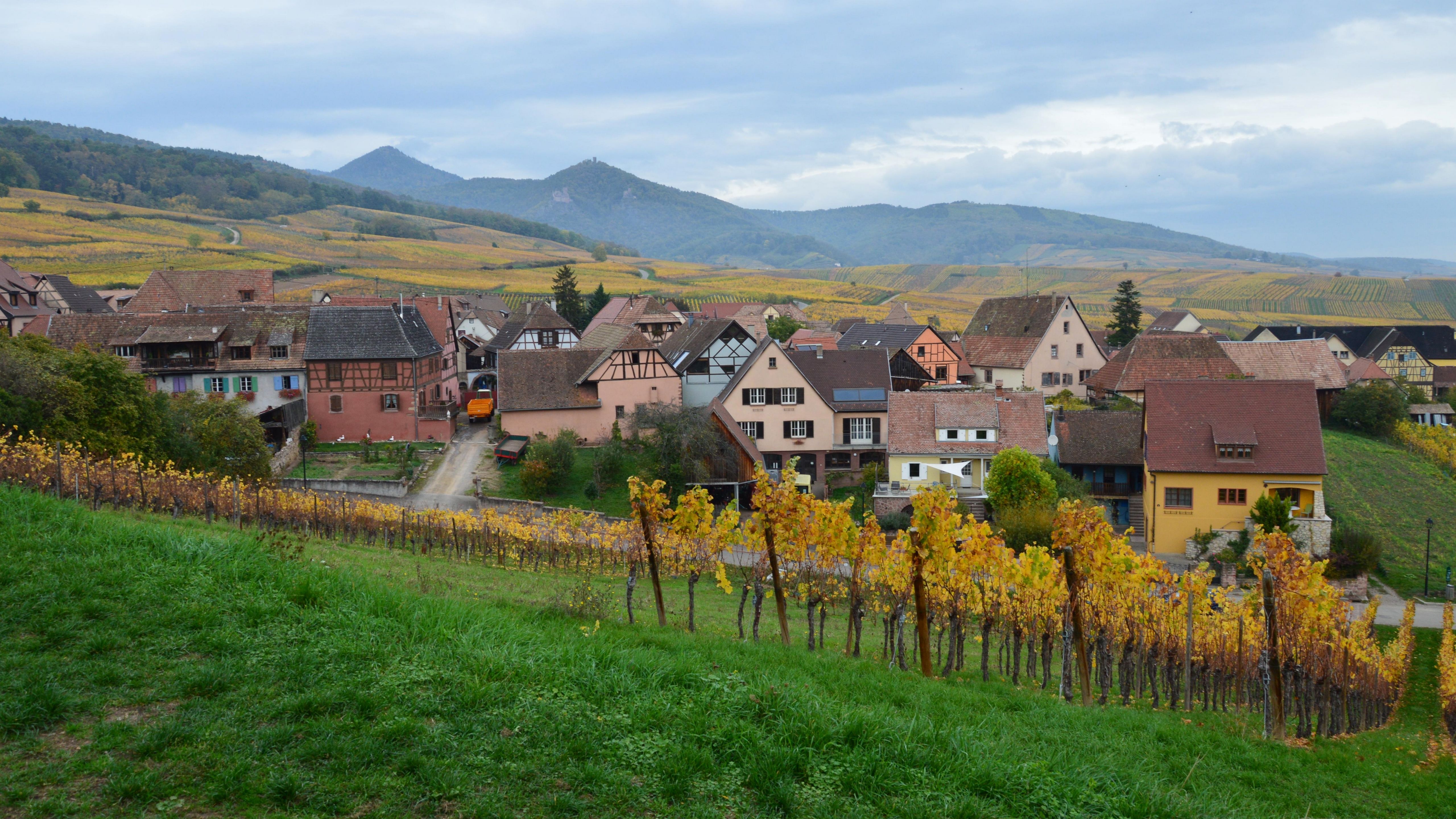 A sprawling European vineyard with traditional stone buildings nestled among rolling hills and grapevines under natural sunlight.