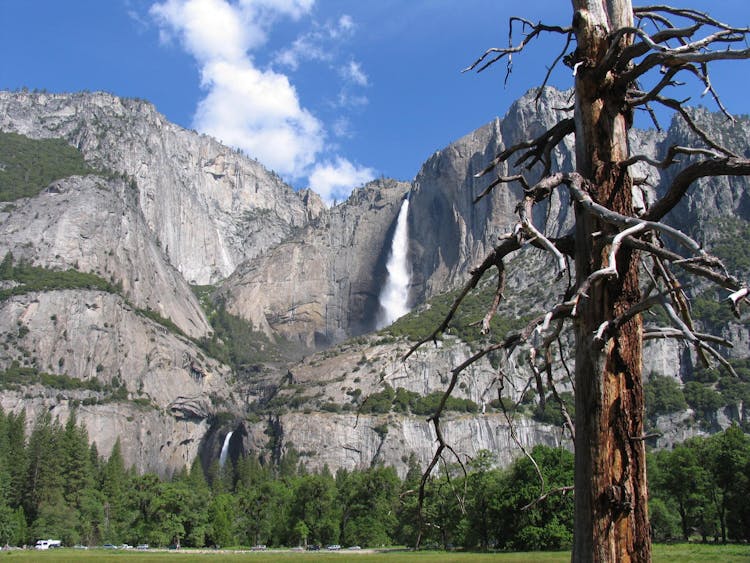 View Of The Yosemite Falls In Yosemite National Park, California, USA