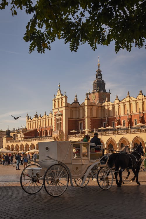 Free Carriage on Main Square in Krakow Stock Photo