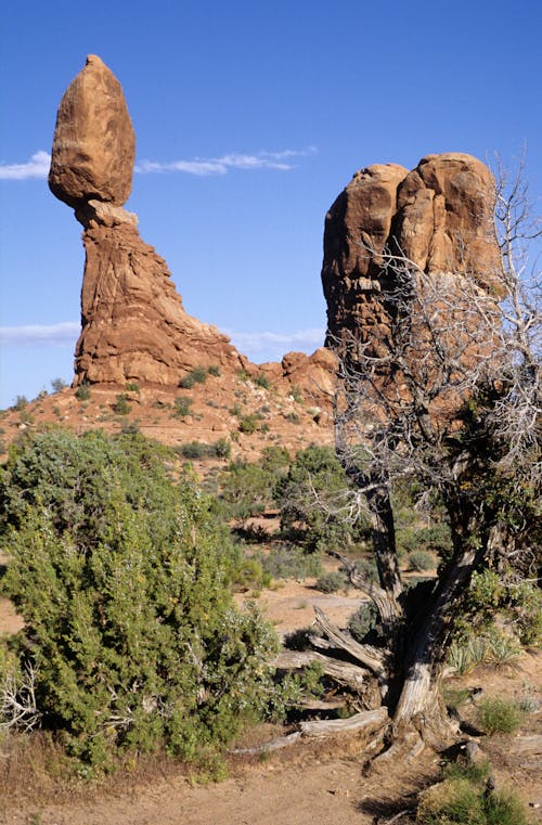 Immagine gratuita di america, arido, canyon