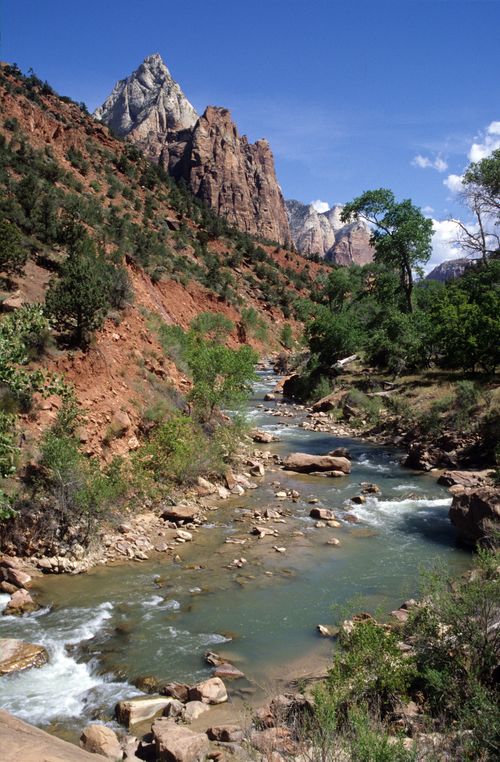 Free Beautiful river flowing through Zion National Park with stunning mountain backdrop. Stock Photo