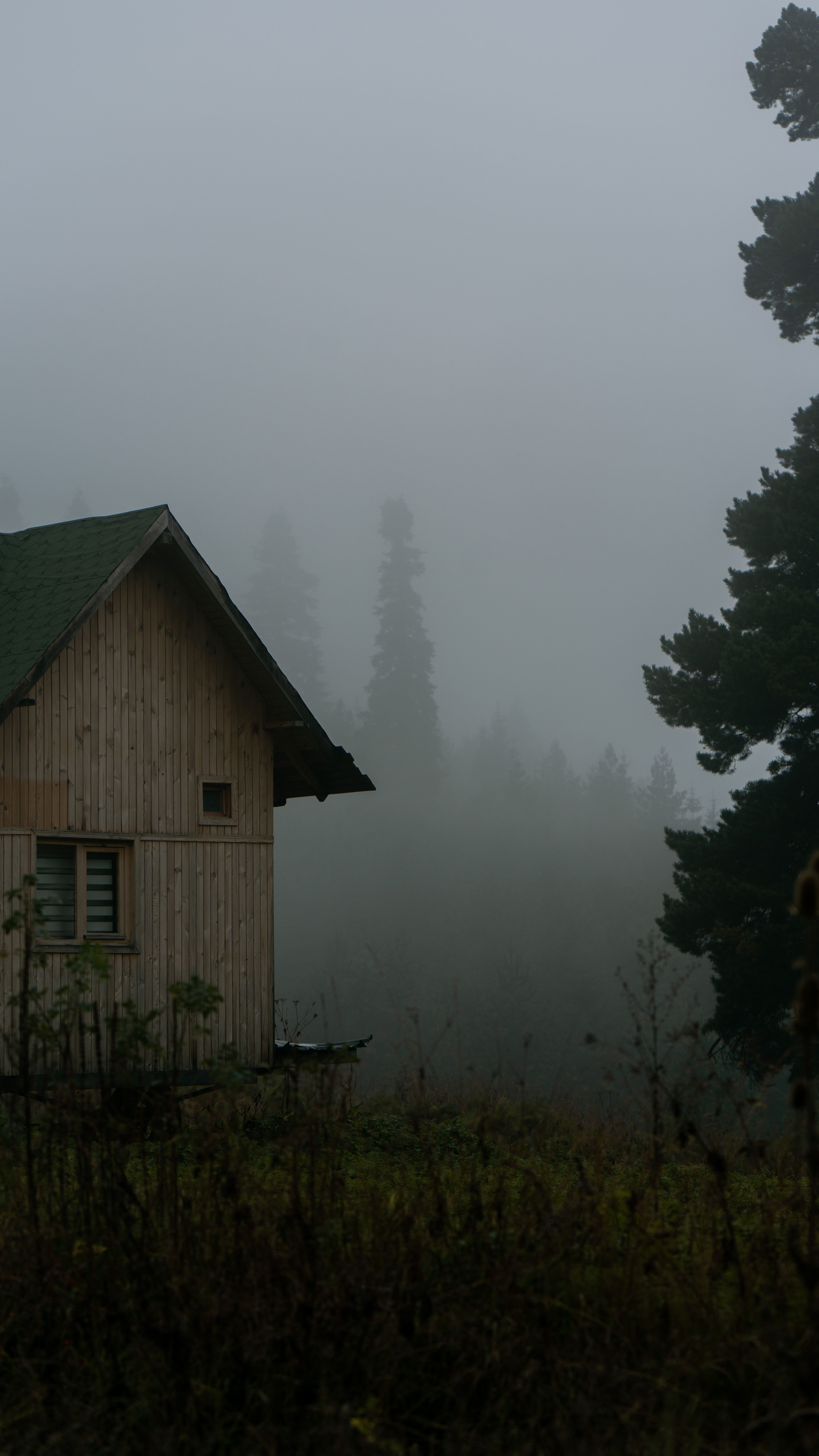 Wooden House on a Forest Field Covered in Fog · Free Stock Photo