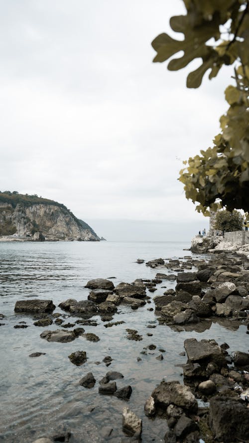 ada, deniz, dikey atış içeren Ücretsiz stok fotoğraf
