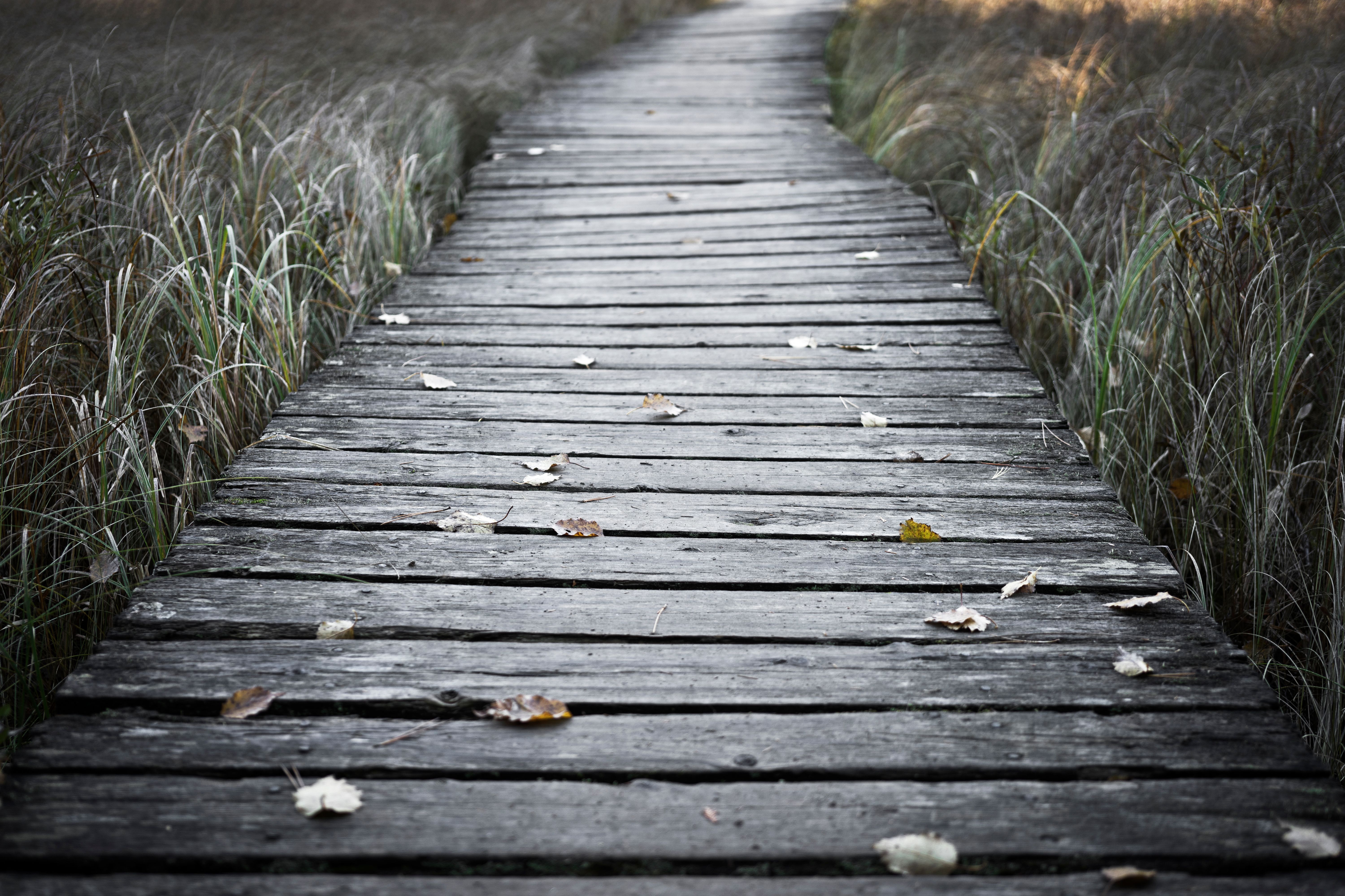 The lifelong journey of personal development - Meer — Photo by Robert Schrader on Pexels
