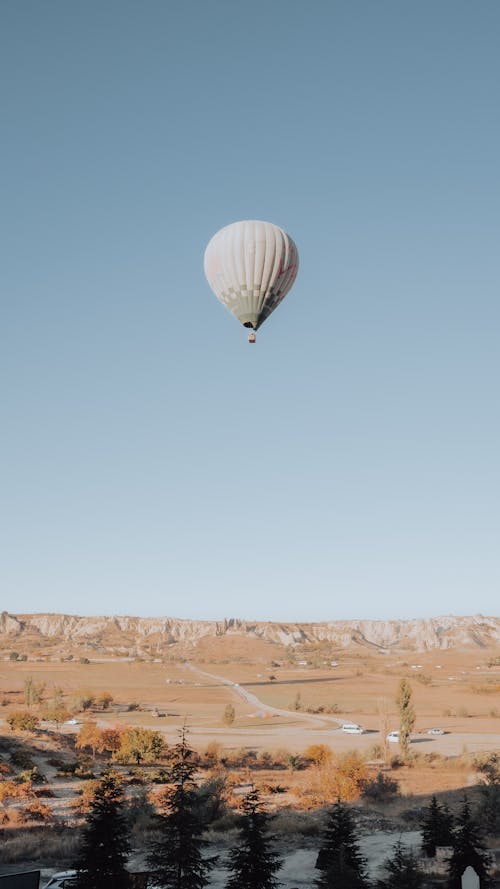 Hot Air Balloon in the Sky