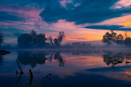 Foto profissional grátis de árvores, corpo d'água, crepúsculo