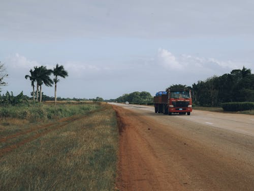 Truck on a Road in a Tropical Place 
