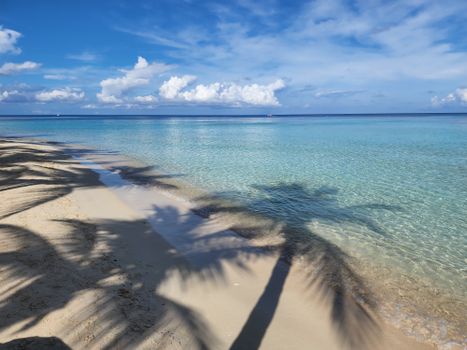 Calm tropical beach with azure waters and palm shadows on sand., free online jigsaw puzzle on JigsawPuzzlesFreeOnline.org