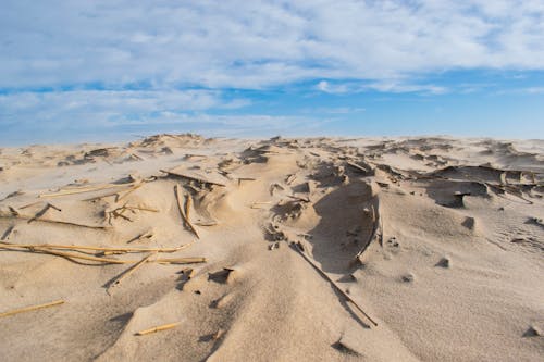 Foto profissional grátis de ao ar livre, areia, areia da praia