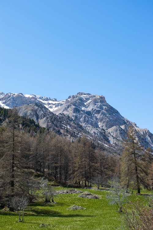 垂直拍攝, 山, 景觀 的 免費圖庫相片