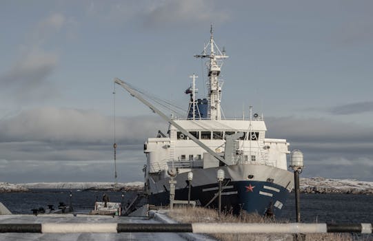 A large cargo ship docked at a marine harbor with snowy surroundings. Ideal for logistics and shipping themes.