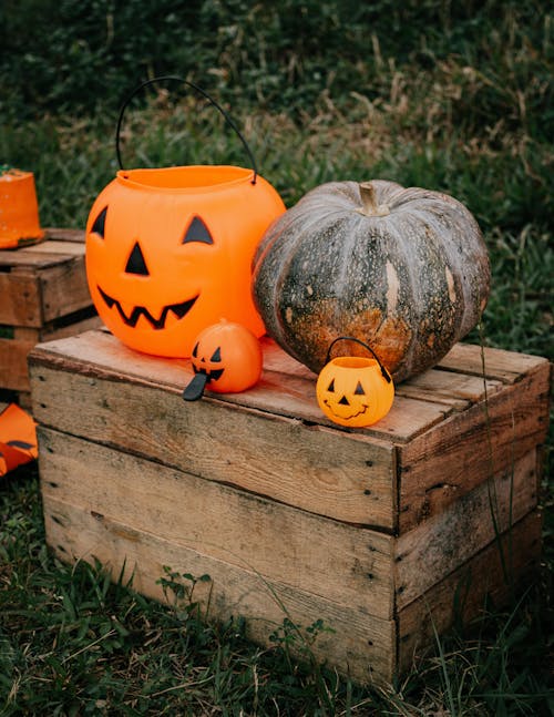 Photos gratuites de automne, caisse en bois, citrouille