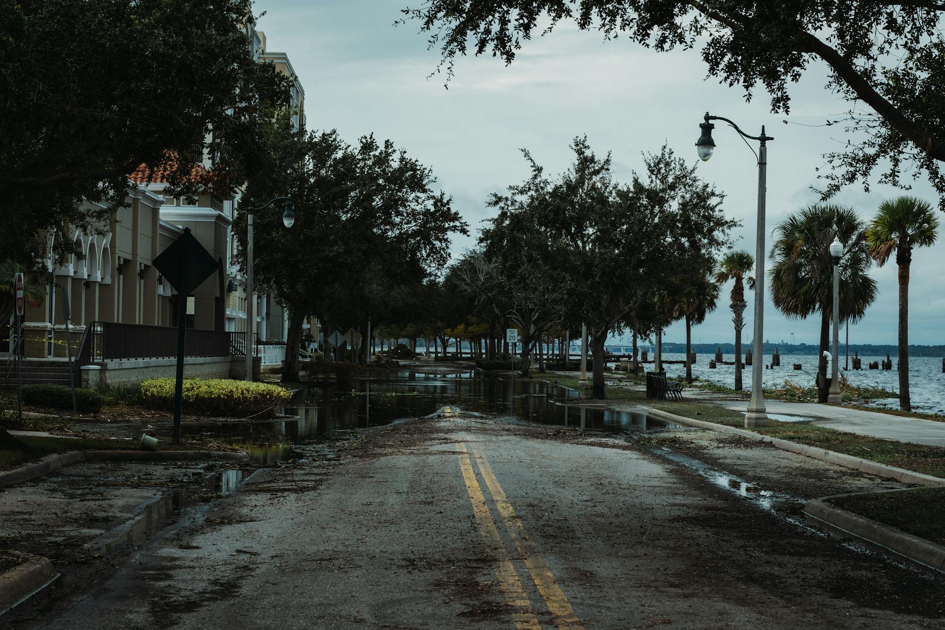 A flooded urban street with palm trees, buildings, and puddles, under a cloudy sky.