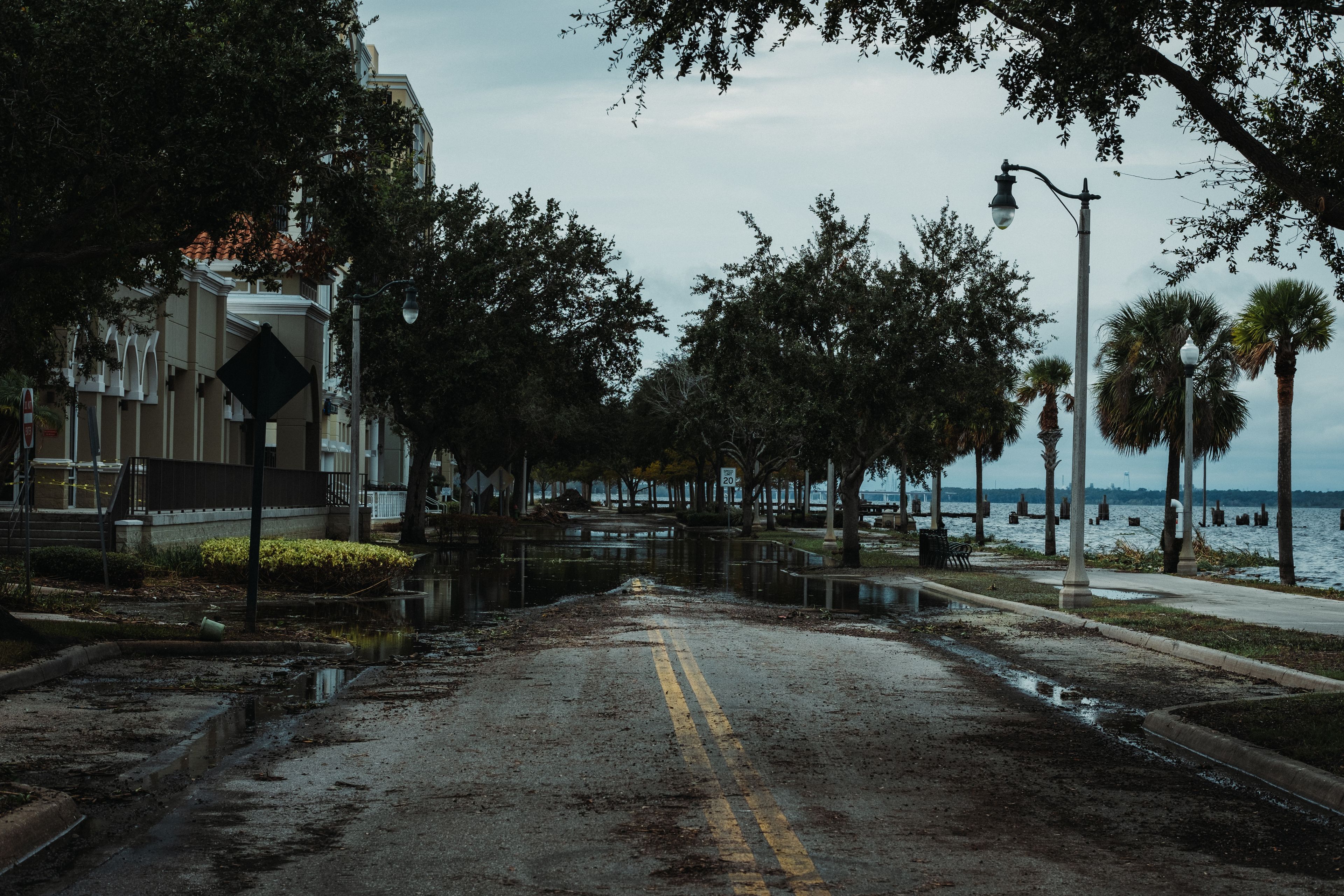 A flooded street with palm trees under a cloudy sky