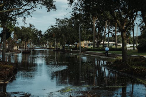 A Person Walking Alone near the Flooded Road 