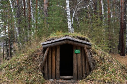 Free A rustic log hut surrounded by dense forest, showcasing a natural, secluded setting. Stock Photo