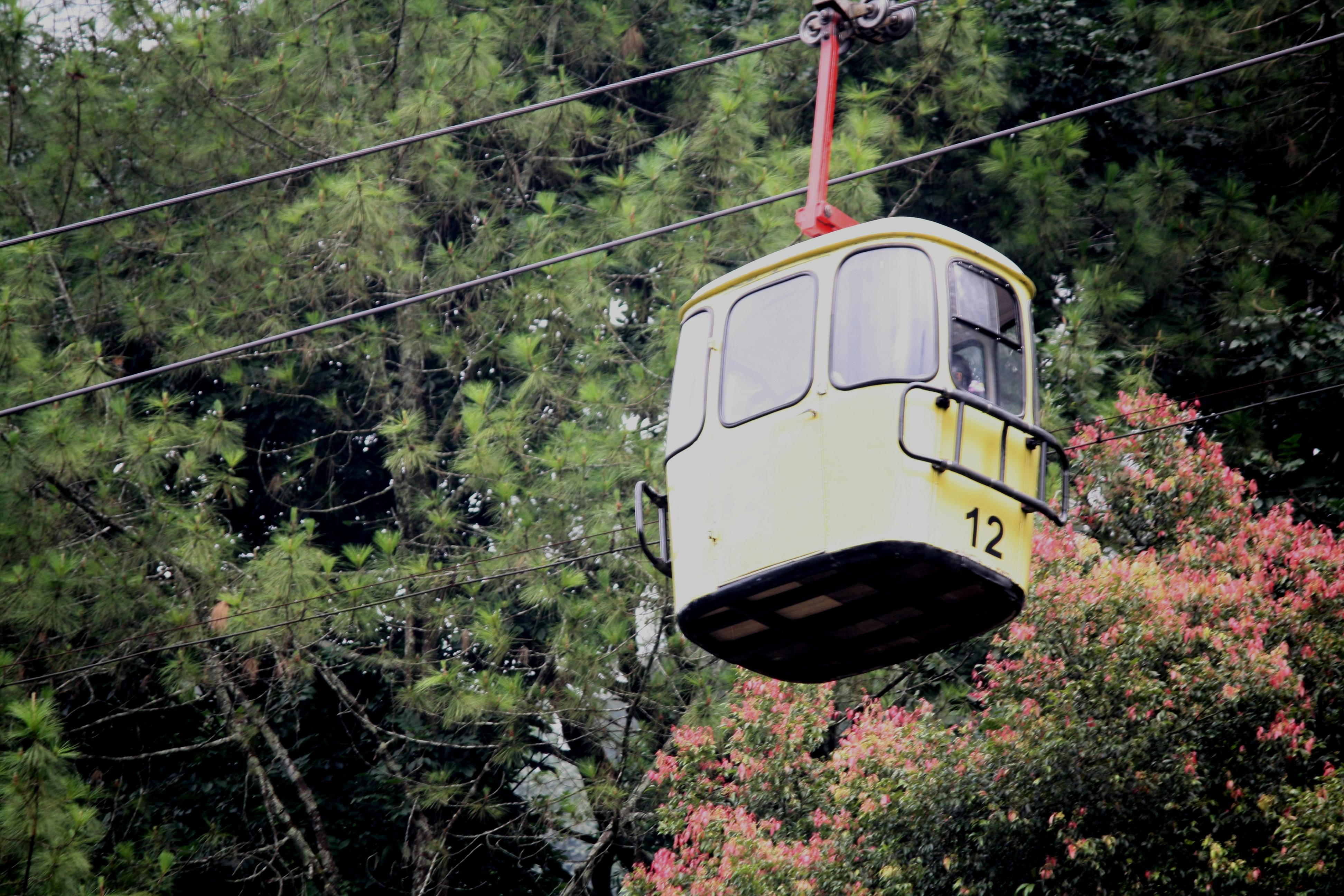 Free stock photo of cable car, cable railway