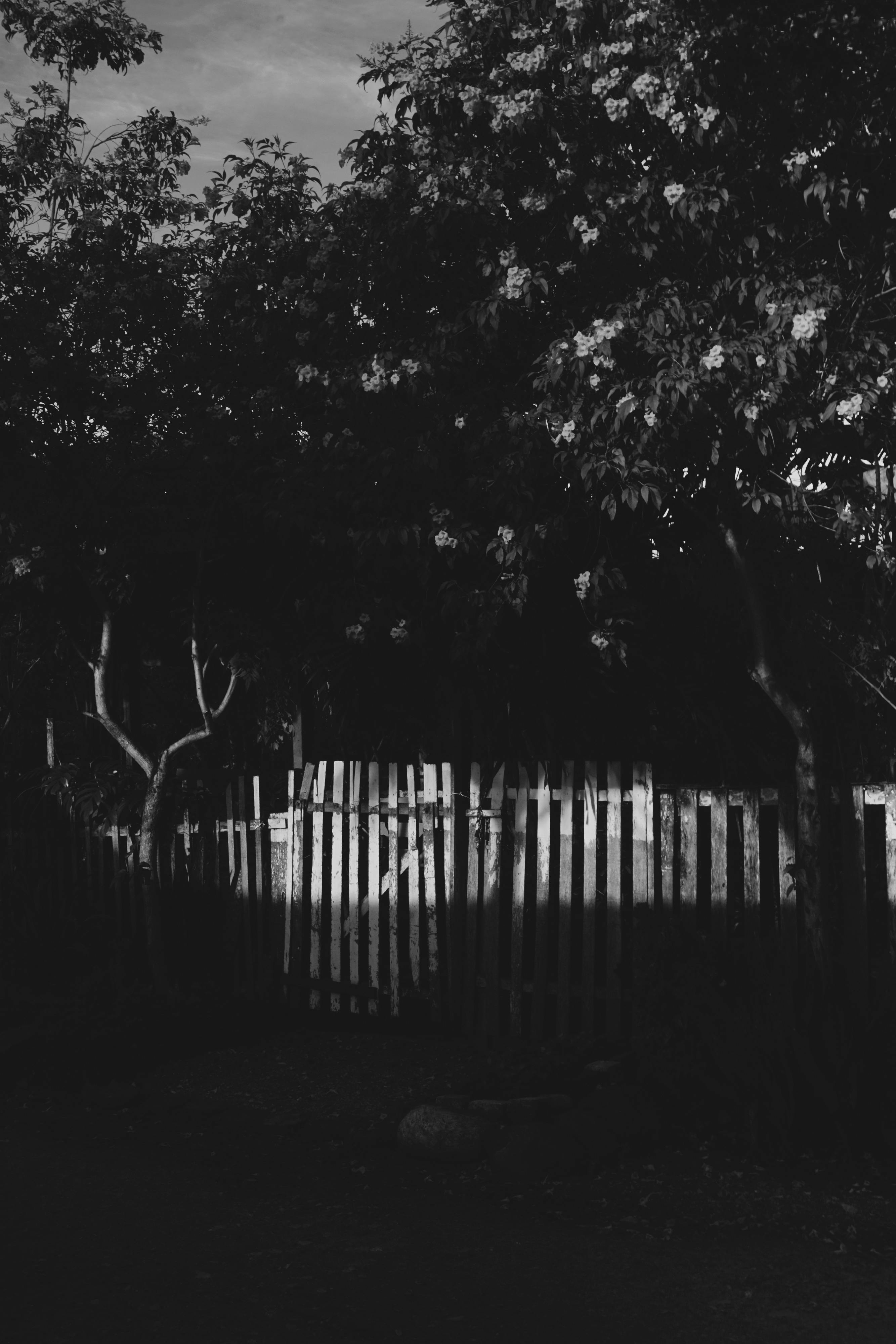 Black And White Photo Landscape Photo Photos, Download The BEST Free