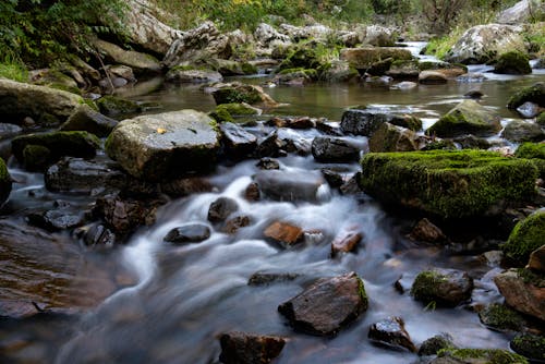 岩, 急流, 水の無料の写真素材