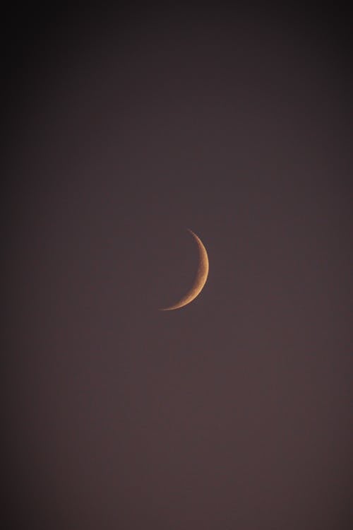 Crescent Moon in the Dark Sky