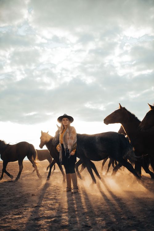 Free A woman in a fedora hat walks among a group of horses during sunset, creating a dramatic silhouette. Stock Photo