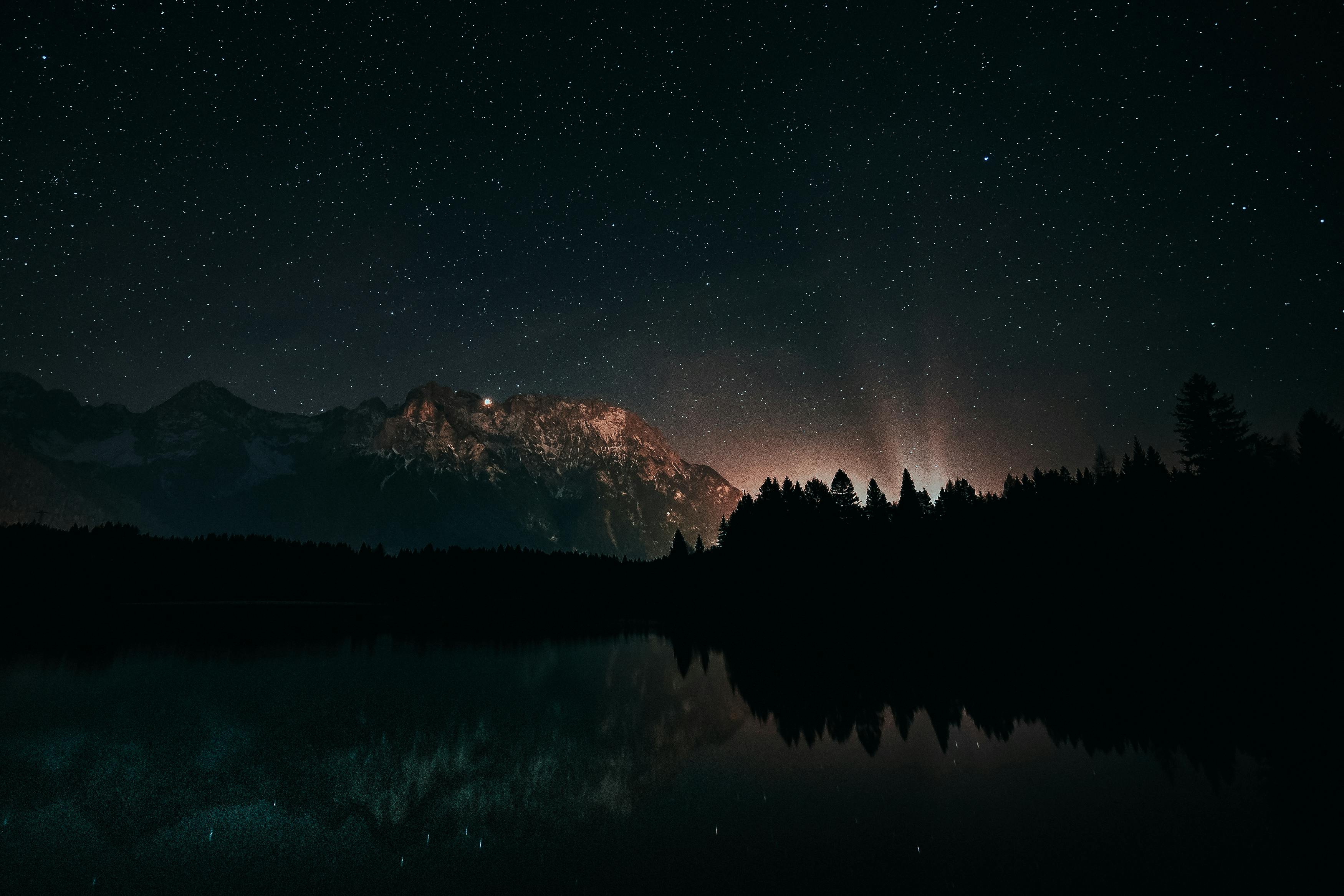 Night Forest Photos, Download The BEST Free Night Forest Stock Photos & HD  Images