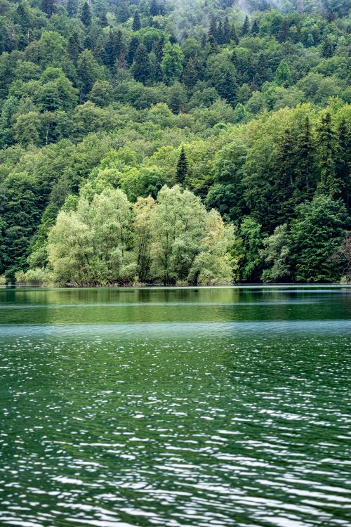 Free Lush green forest reflected in a calm lake, showcasing nature's tranquility and beauty. Stock Photo