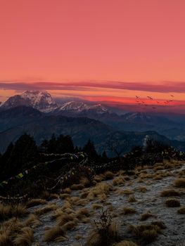 Experience the breathtaking view of mountains under a mesmerizing pink sunset sky.