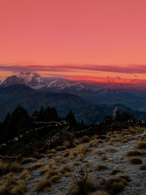 Experience the breathtaking view of mountains under a mesmerizing pink sunset sky.