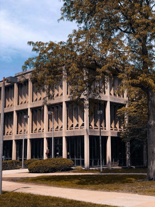 Fotos de stock gratuitas de árbol, césped, edificio de concreto