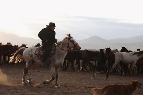 A Man Riding on a White Horse