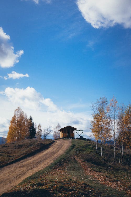 Foto d'estoc gratuïta de arbres, camí de carro, casa de camp