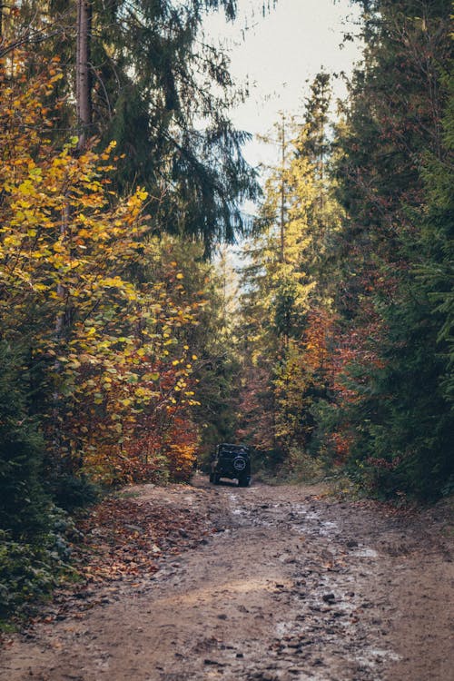 Black Jeep on Dirt Road