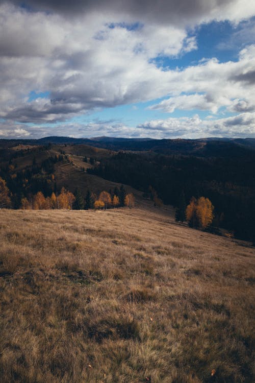 Ilmainen kuvapankkikuva tunnisteilla luonto, maaseudun, maaseutu