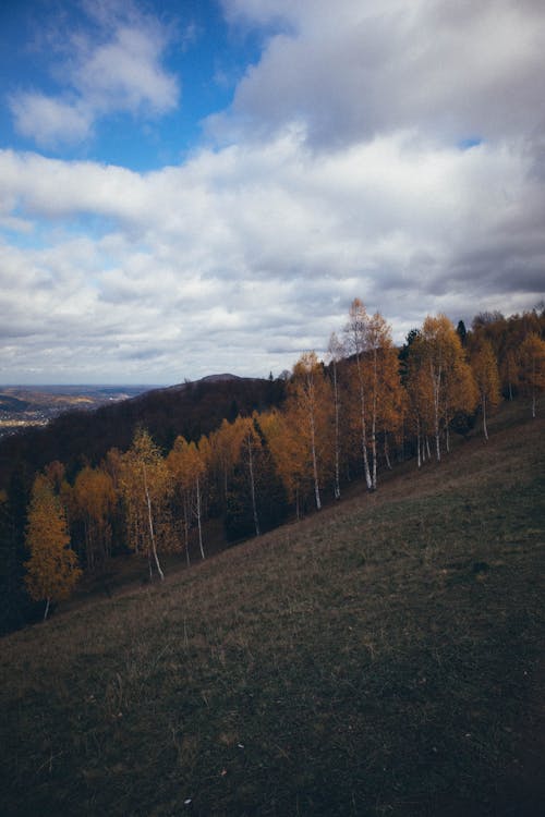 Fotobanka s bezplatnými fotkami na tému dedinský, jeseň, kopec