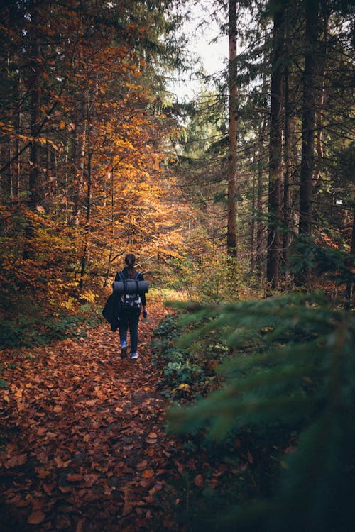 Foto stok gratis backpacker, jejak, kaum wanita