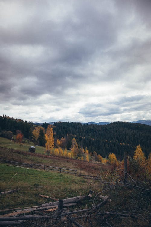 無料 垂直ショット, 山岳, 曇り空の無料の写真素材 写真素材