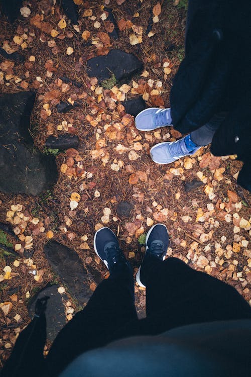 Legs of People Standing on Autumn Leaves