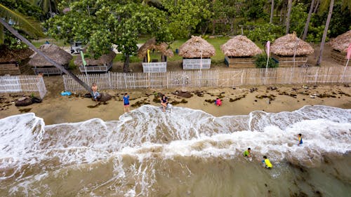 Foto d'estoc gratuïta de cabana de Nipa, foto aèria, fotografia des d'un dron