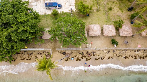 Foto d'estoc gratuïta de a la vora de l'oceà, arbres, cabana de Nipa