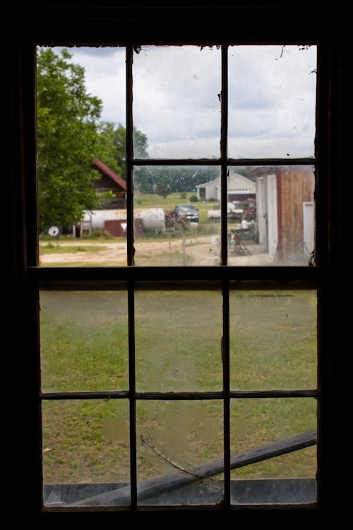 Immagine gratuita di azienda agricola, campagna, erba