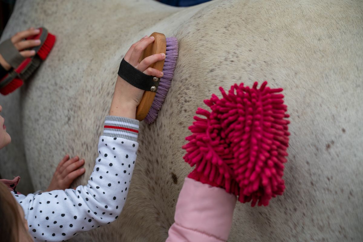 Kinder bürsten ein Pferd